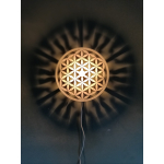 Schaduwlamp 'Levensbloem'